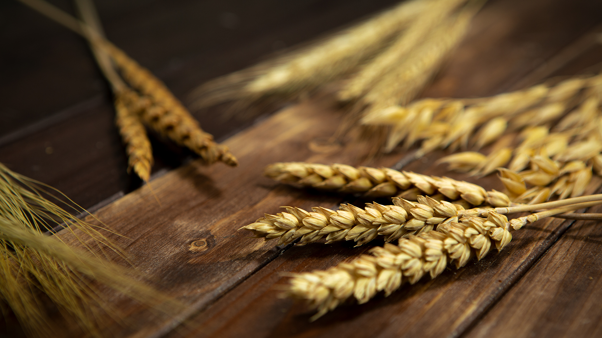 Brot Fachkunde – Online-Kurs - Image 4